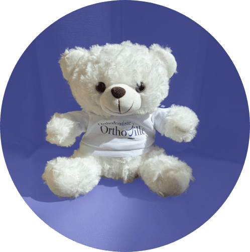 Ours Molaire